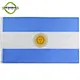 argentina the flag